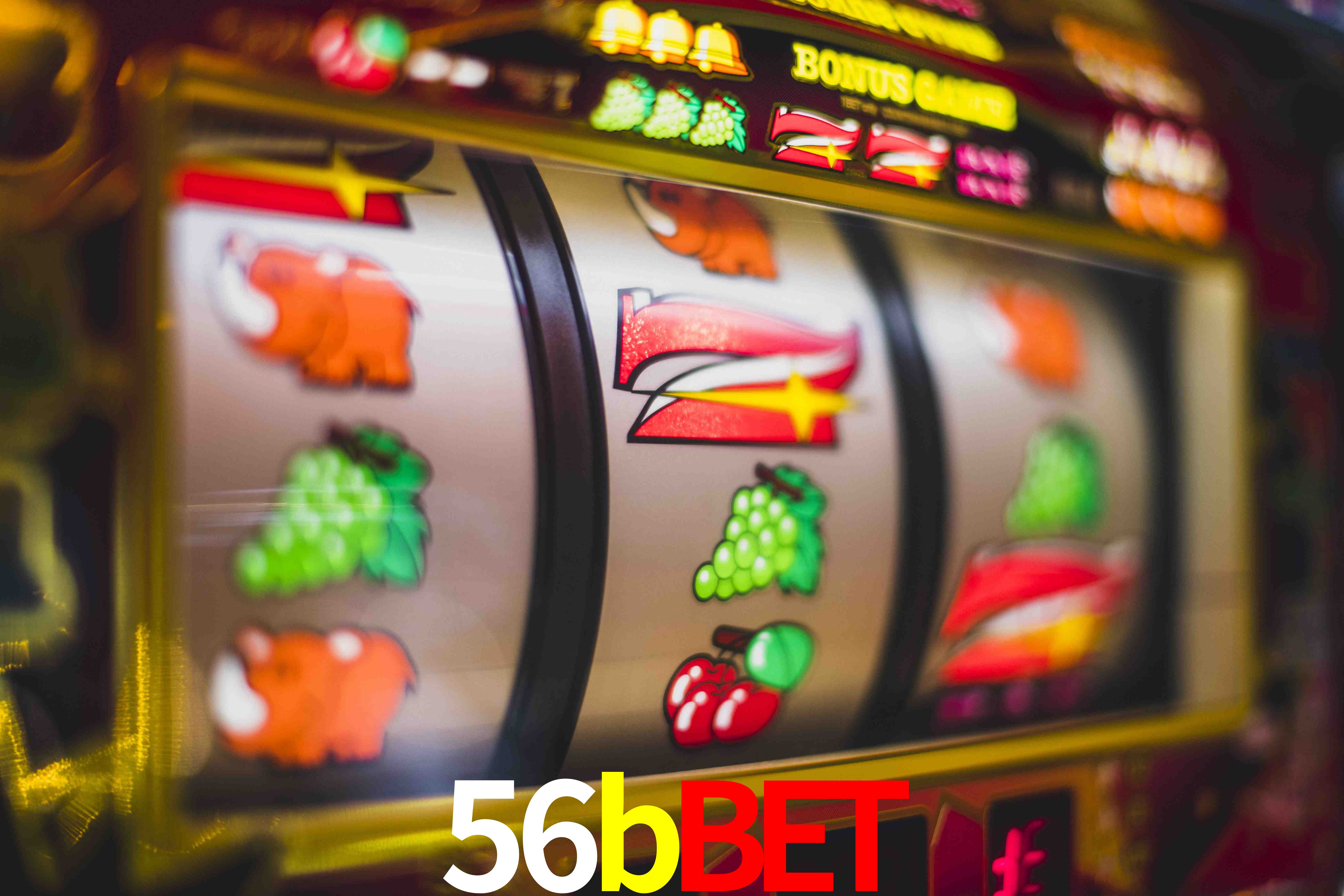 Statistics 56bbet